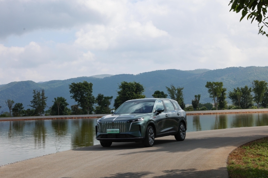 IMG_0556.jpeg IMG_0556.jpeg